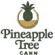 PineappleTreeCann