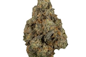 Medicus 21/1 EZA WEC