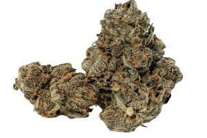 420 Compound 20/1 CA MWZ 