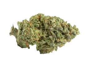 420 Evolution 20/1 CA LCG