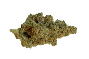 420 Evolution 20/1 CA MAC