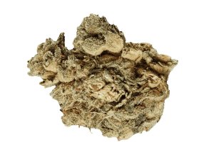 420 Evolution 22/1 CA PVB