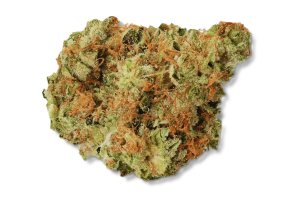 420 Evolution 27/1 CA BUL