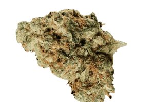 420 Evolution 30/1 CA FRG