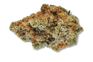 420 Evolution 30/1 CA WES
