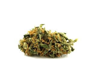 Aphria Typ 1 Bienville