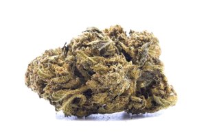 Aurora 22/1