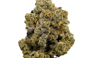 BOTANICS Golden Ace 20/1