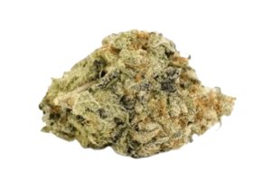Barrocas PMK 26/1 Premium