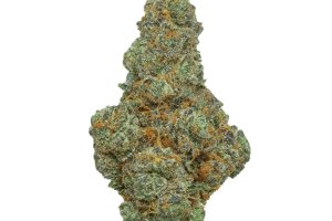 Bathera THC Akut BF 28