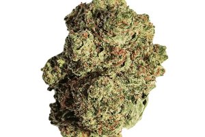 Beacon T24 Pink Kush