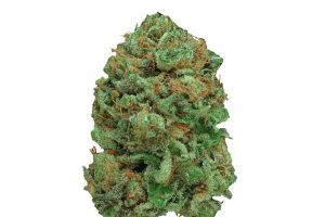 Canify Cannabis Flos 20/1 CSF