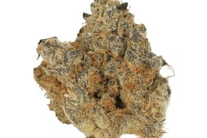 Cannamedical CM 29/1 SPC