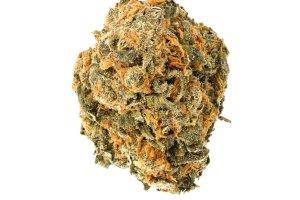 Cannamedical Hybrid Forte NM