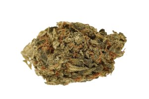 Cannamedical Sativa forte NM