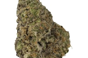 Cannamedical Sativa forte NM
