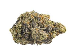Canopy KMI 28/1 Kush Mints
