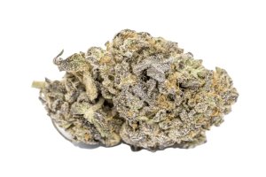 Cirrus Indica 5 27/1