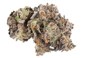 Cookies 28/1