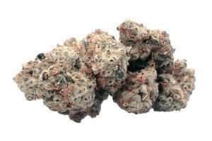 Demecan CRAFT Walkie Talkie 27:01