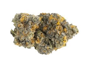 Drapalin 31/1 Da Fux