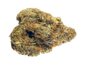 Gestion Cannabec PC 21/1