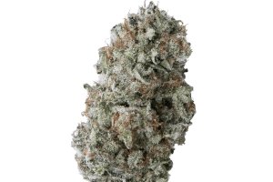 IMC AGD THC25 Afghani Drifter