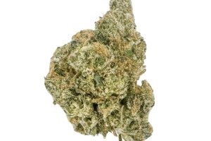 IMC BBQK THC21