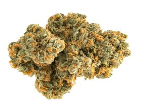 IMC GC THC5 CBD9