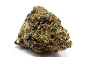 IMC PF THC25