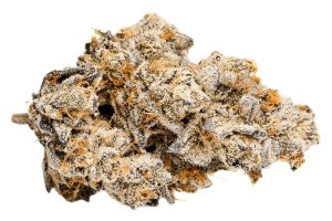 LOT 420 OC