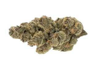MGF CANN SNL 30/1