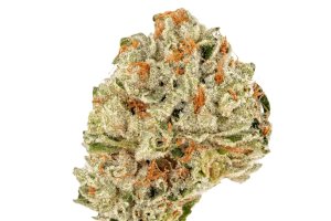 MediCann 21/1 MC Oro 21