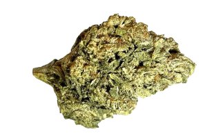 Medical Saints 24/1 PTR