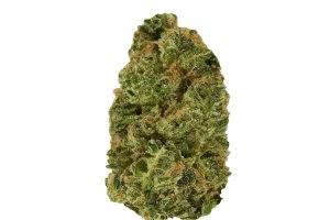 Medicus 27/1 EZA DSD