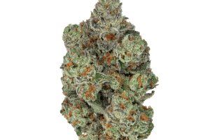 Mediprocan African Ruby 20/1