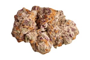 NEDCANN GHC 22/01