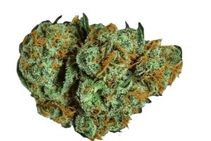 NICE surprise 14/1 OZK