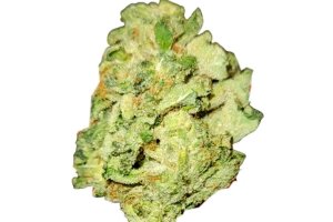 Navcora THC 18 Spotlight Porto Galaxy Walker