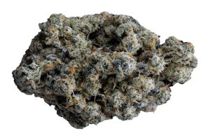 Organic Sweetgrass CB 25/1