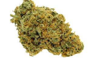 Origine Nature CHEM 25/1