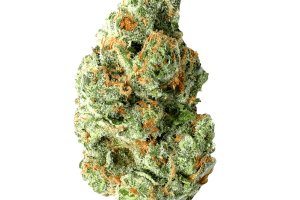 Pharmaleaves Indica Plain 20