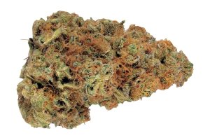 Remexian 18/1 ILF SBL