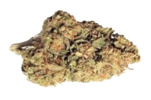 Remexian 21/1 EZA WW