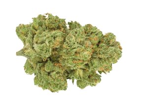 Remexian 21/1 RAS ALB