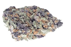 Remexian 30/1 CAL PTS