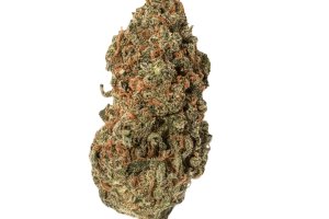 Tilray THC18 Spotlight Porto