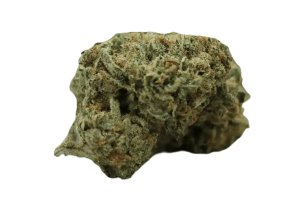 Weeco 23/1 KL Prince Louis