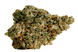 enua 20/1 DB CA Pink Kush