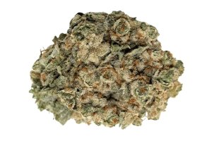 madrecan 24/1 HiFi 4G